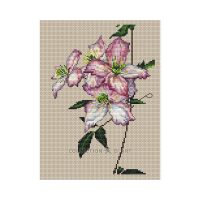 Collection d'Art Clematis BC8114 borduren (pakket)