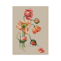 Collection d'Art Poppy BC8111 borduren (pakket)