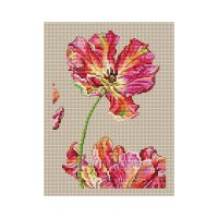 Collection d'Art Tulip BC8113 borduren (pakket)