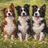Drie trouwe Border Collie vrienden Diamond Painting