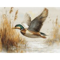 Luca-S Golden Flight GOLD G730 Petit Point borduren (pakket)