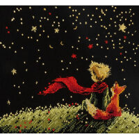 PANNA Dreams of the Stars VS-7555 borduren (pakket)