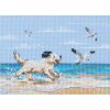 RTO Dog Running on Beach M01108 borduren (pakket)