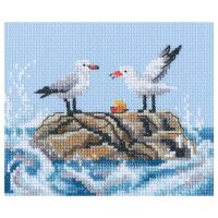 RTO Seagulls on Rock M01106 borduren (pakket)