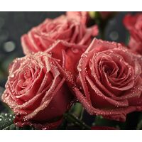Rozen in dauwdruppels Diamond Painting