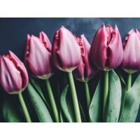 Tulpen in Bloei diamond painting