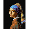 Orchidea After Johannes Vermeer - Girl with a Pearl Earring M2150 voorbedrukt Needlepoint borduren