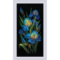 RIOLIS Beatuful Irises 2346 borduren (pakket)