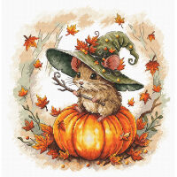 AVA Stitch Little Wizard P153 borduren (pakket)