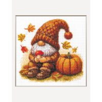 Aine Harvest Gnome A1044 borduren (pakket)