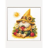 Aine Sunshine Gnome A1043 borduren (pakket)
