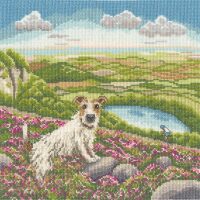 Bothy Threads Lucy Pittaway One Vet And His Dog XLP25 borduren (pakket)