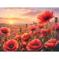 Klaprozen in avondrood Diamond Painting van Doezelf