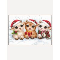 Aine Christmas Joy A1050 borduren (pakket)