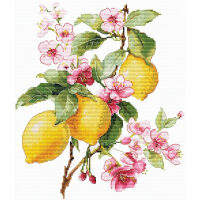 Andriana Lemons L-28 borduren (pakket)