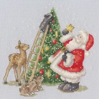 Bothy Threads Nicola Mason North Pole Star XX26 borduren (pakket)