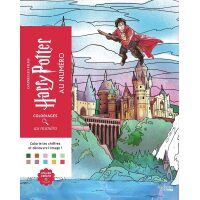 Coloriages mystères - Harry Potter au numéro – Kleuren op nummer voor volwassenen en kinderen