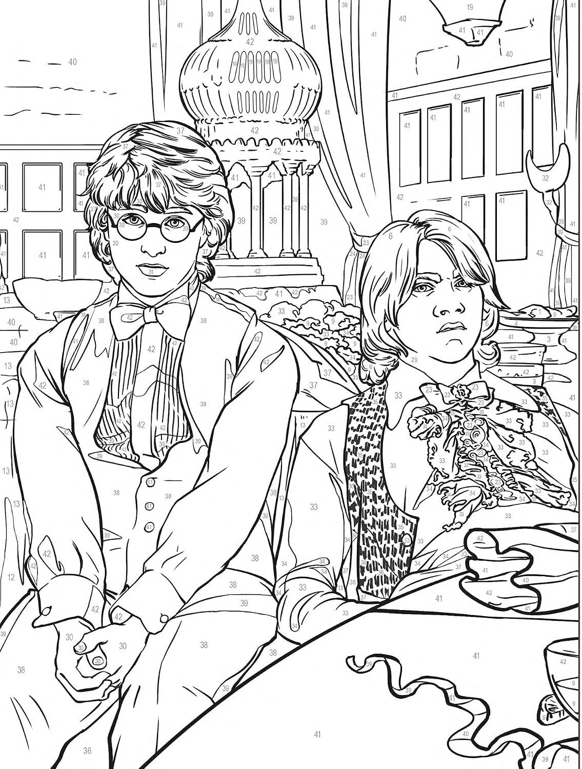 Coloriages mystères - Harry Potter au numéro – Kleuren op nummer voor volwassenen en kinderen