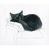RTO Among Black Cats M668 borduren