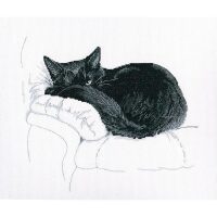 RTO Among Black Cats M668 borduren